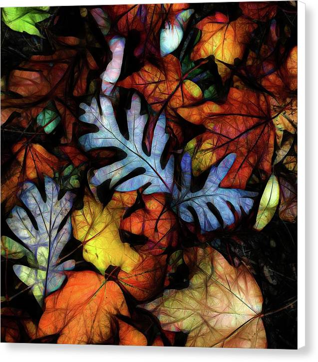 Mid October Leaves 1 - Canvas Print