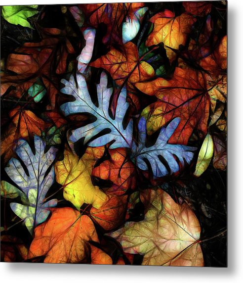 Mid October Leaves 1 - Metal Print