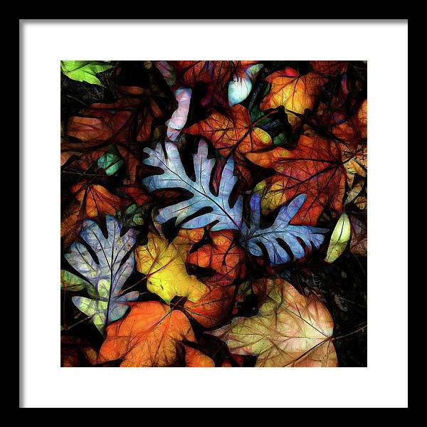 Mid October Leaves 1 - Framed Print