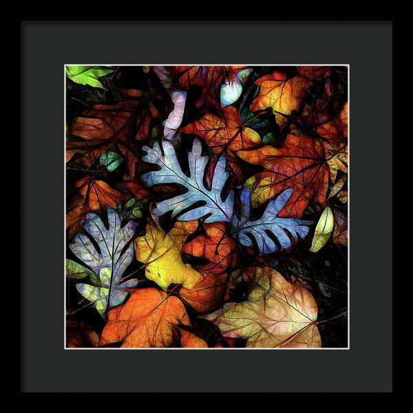 Mid October Leaves 1 - Framed Print