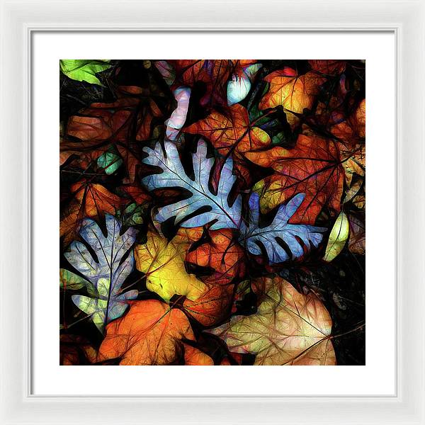 Mid October Leaves 1 - Framed Print