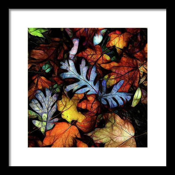 Mid October Leaves 1 - Framed Print