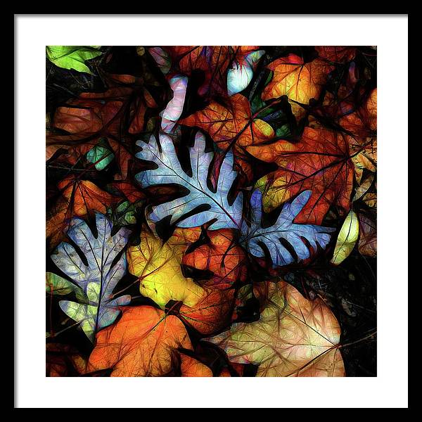 Mid October Leaves 1 - Framed Print