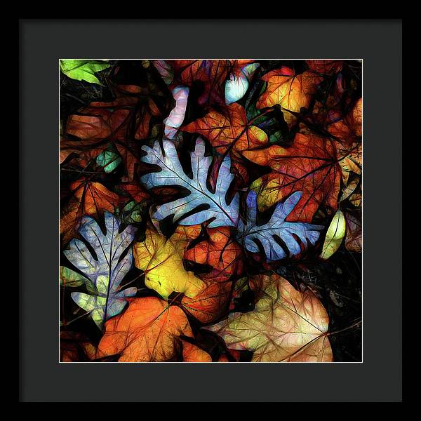 Mid October Leaves 1 - Framed Print