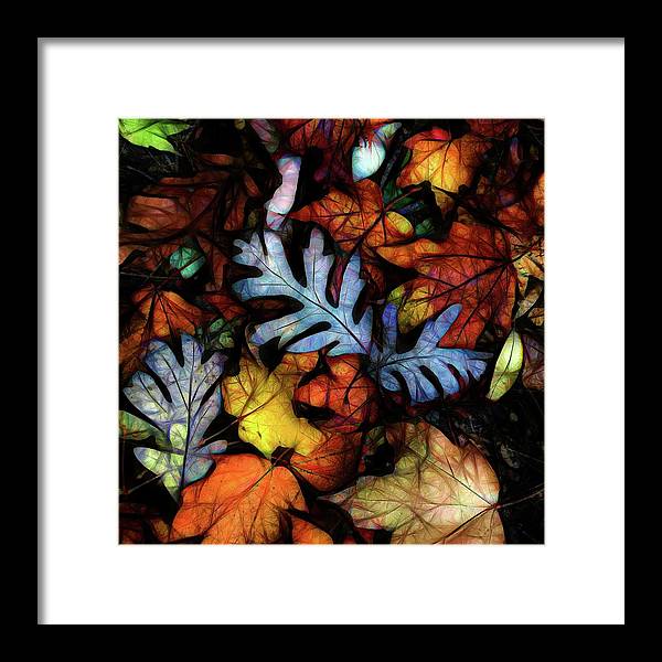 Mid October Leaves 1 - Framed Print