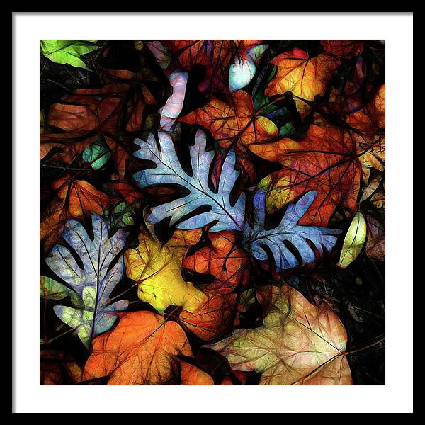 Mid October Leaves 1 - Framed Print