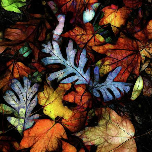 Mid October Leaves 1 - Art Print