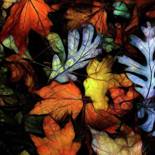 Mid October Leaves 2 - Art Print
