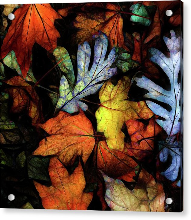 Mid October Leaves 2 - Acrylic Print