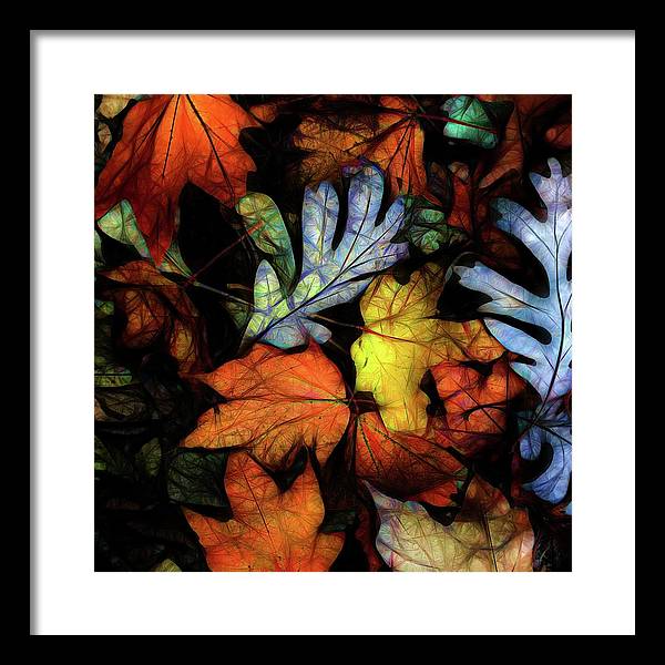 Mid October Leaves 2 - Framed Print