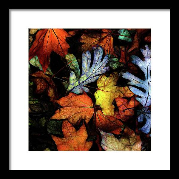 Mid October Leaves 2 - Framed Print