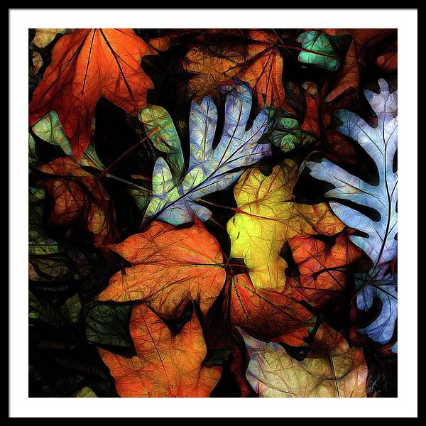 Mid October Leaves 2 - Framed Print