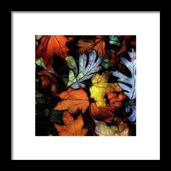 Mid October Leaves 2 - Framed Print