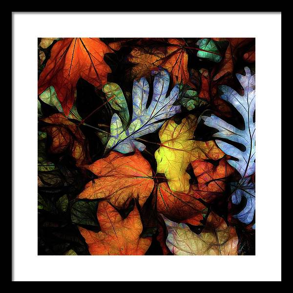 Mid October Leaves 2 - Framed Print