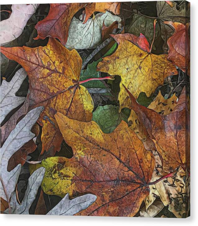 Mid October Leaves 3 - Canvas Print