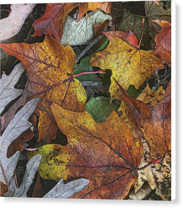 Mid October Leaves 3 - Canvas Print