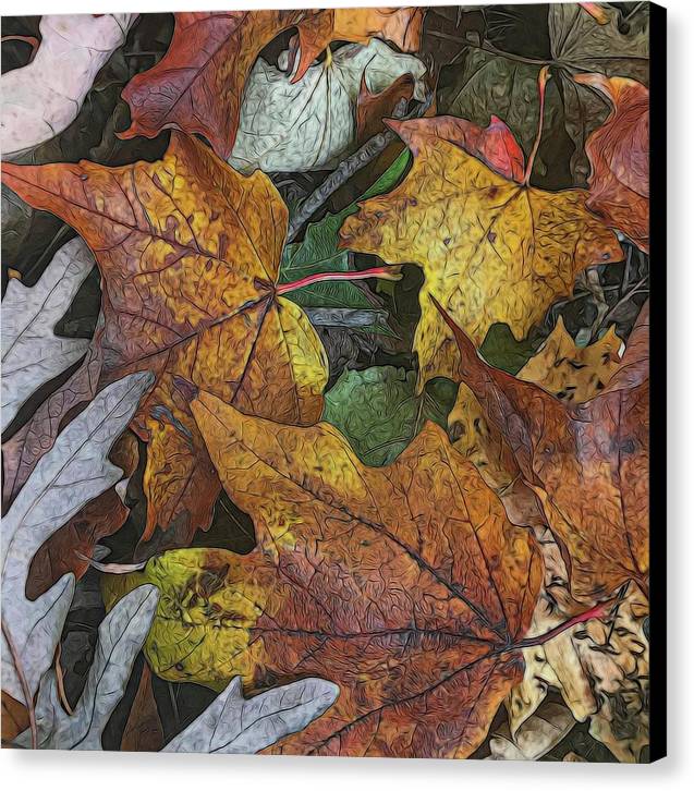 Mid October Leaves 3 - Canvas Print