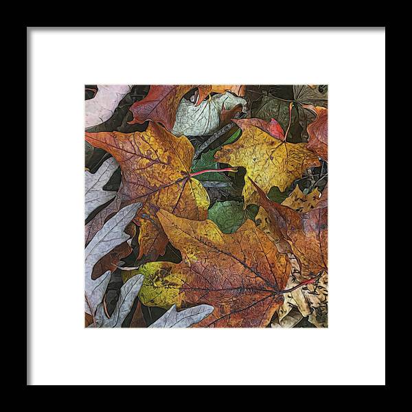 Mid October Leaves 3 - Framed Print