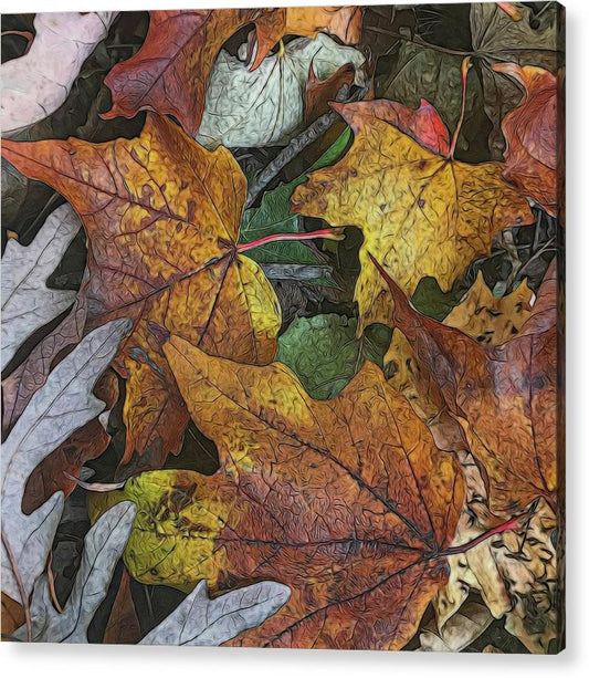 Mid October Leaves 3 - Acrylic Print