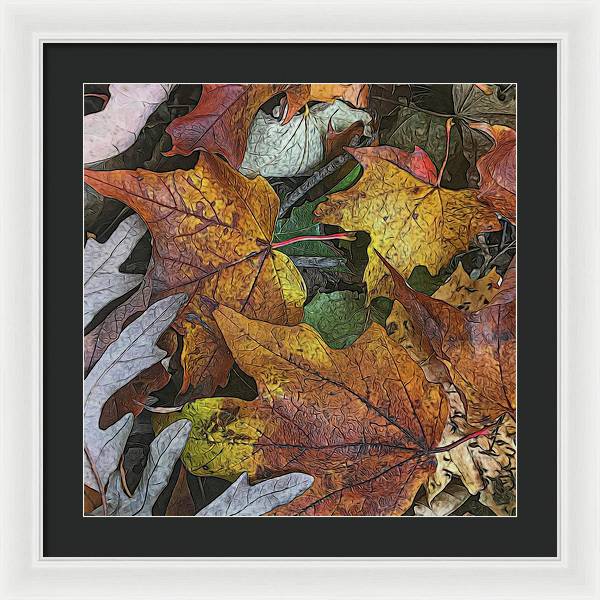 Mid October Leaves 3 - Framed Print