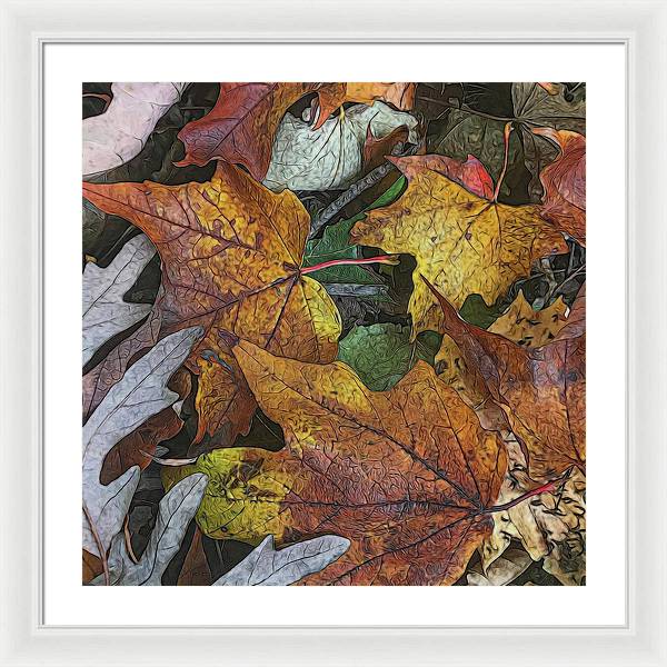 Mid October Leaves 3 - Framed Print