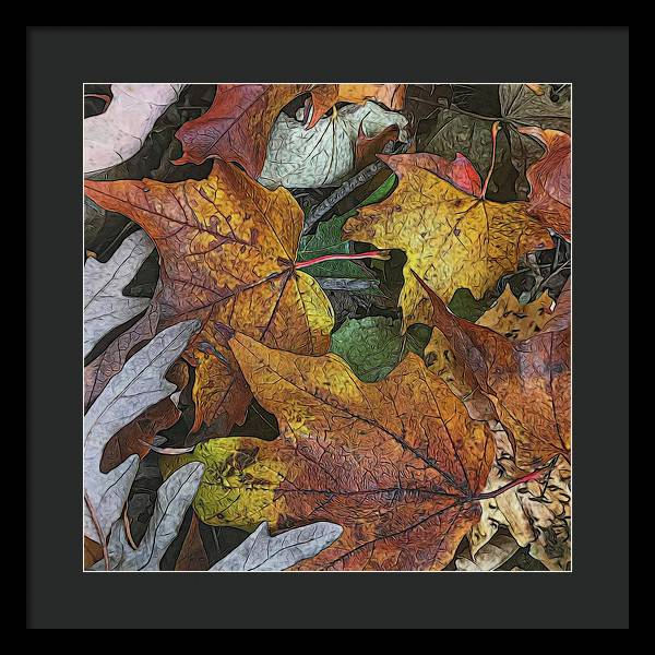 Mid October Leaves 3 - Framed Print