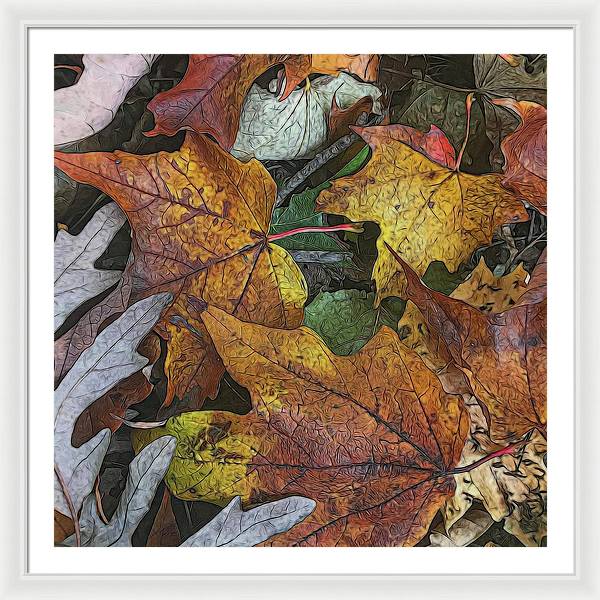 Mid October Leaves 3 - Framed Print