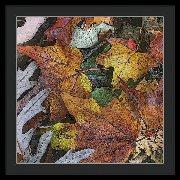 Mid October Leaves 3 - Framed Print