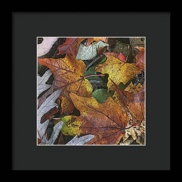 Mid October Leaves 3 - Framed Print