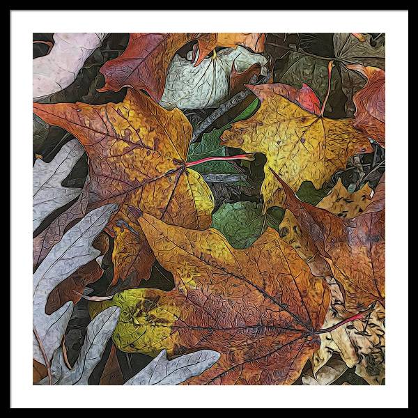 Mid October Leaves 3 - Framed Print