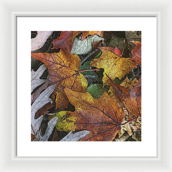 Mid October Leaves 3 - Framed Print