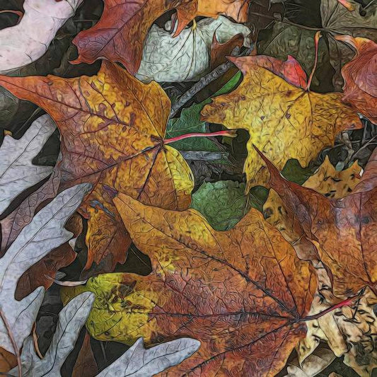 Mid October Leaves 3 - Art Print