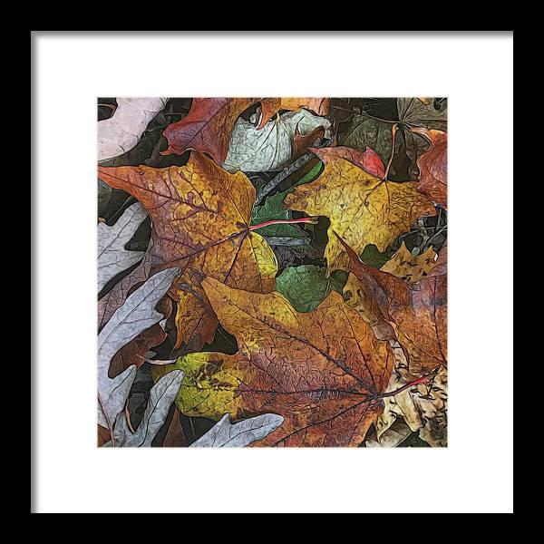 Mid October Leaves 3 - Framed Print