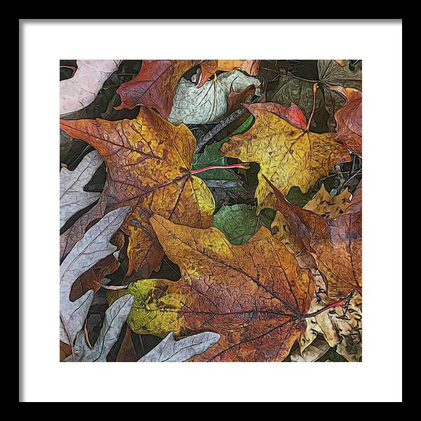 Mid October Leaves 3 - Framed Print