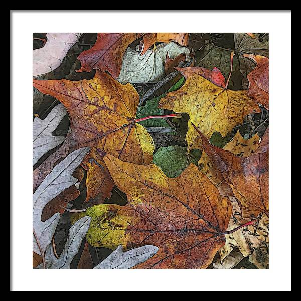 Mid October Leaves 3 - Framed Print