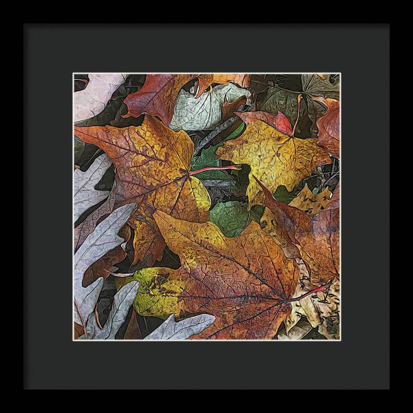 Mid October Leaves 3 - Framed Print