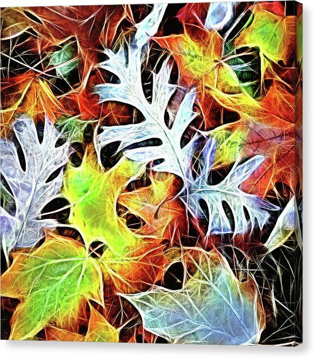 Mid October Leaves 4 - Canvas Print