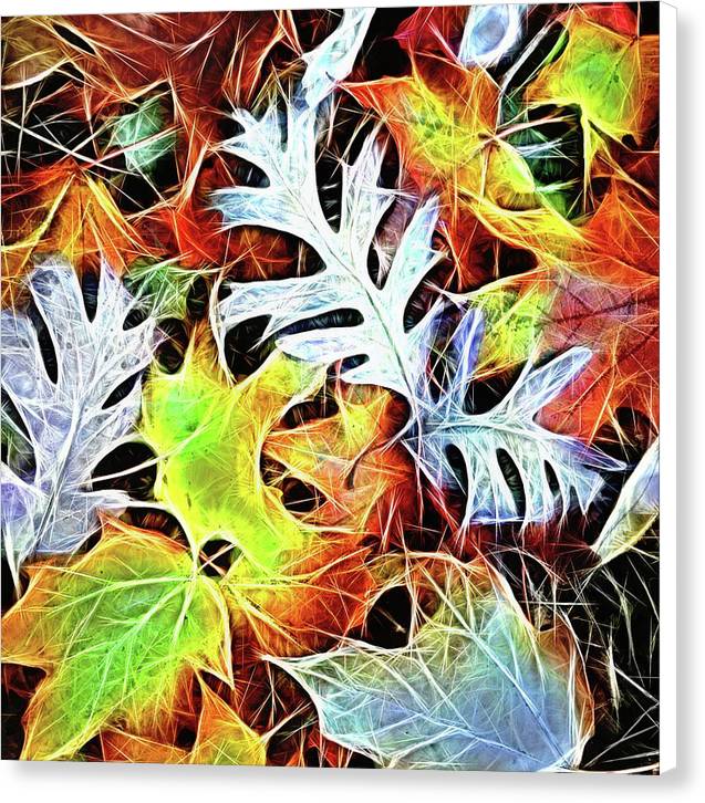 Mid October Leaves 4 - Canvas Print