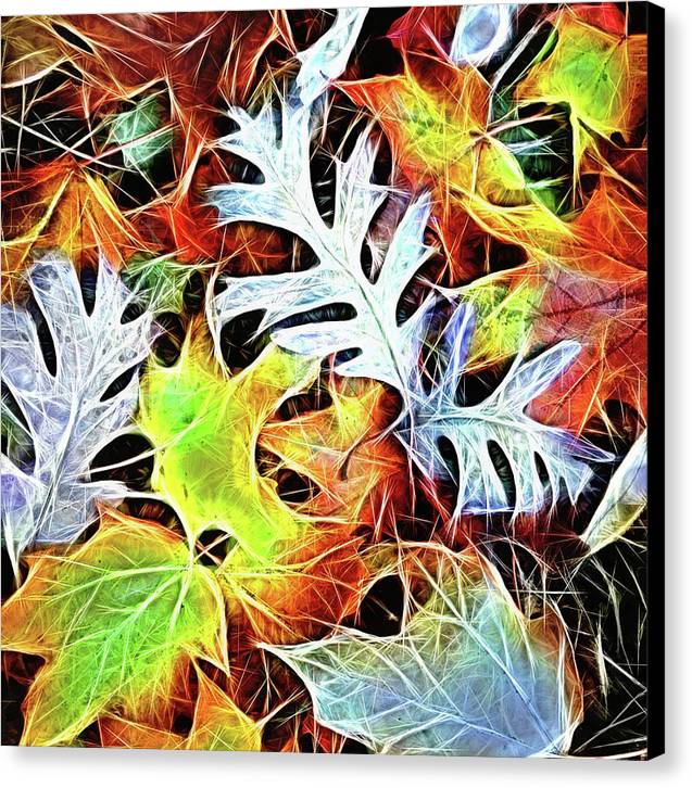 Mid October Leaves 4 - Canvas Print