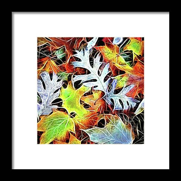 Mid October Leaves 4 - Framed Print