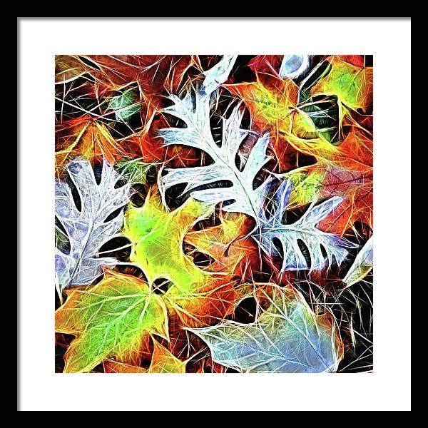 Mid October Leaves 4 - Framed Print