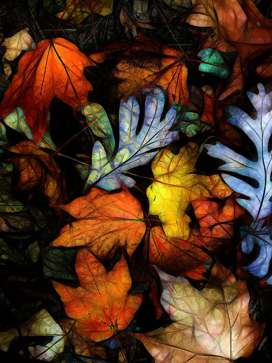 Mid October Leaves 2 Digital Image Download