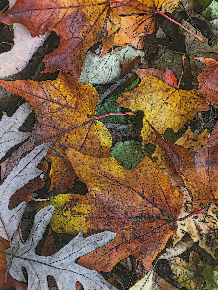Mid October Leaves 3 Digital Image Download