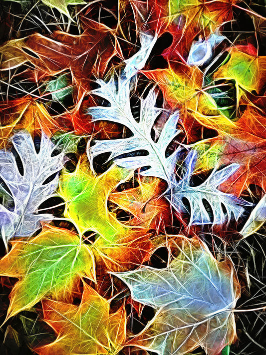 Mid October Leaves 4 Digital Image Download
