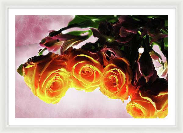 Mini Orange Roses on Pink - Framed Print