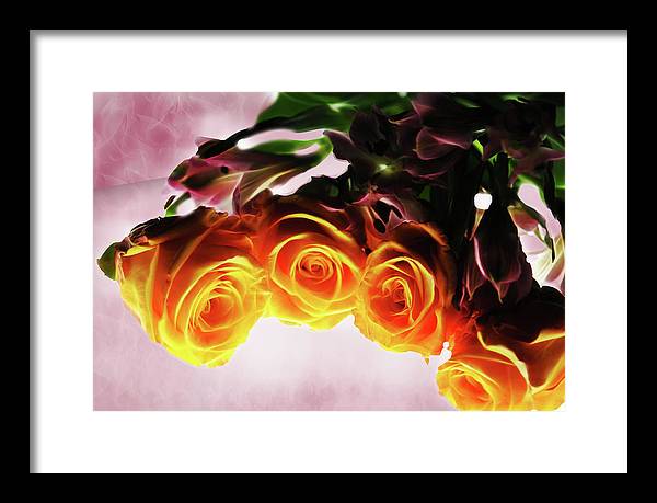 Mini Orange Roses on Pink - Framed Print