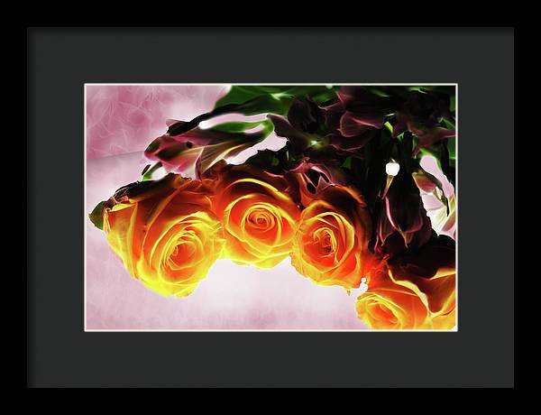 Mini Orange Roses on Pink - Framed Print