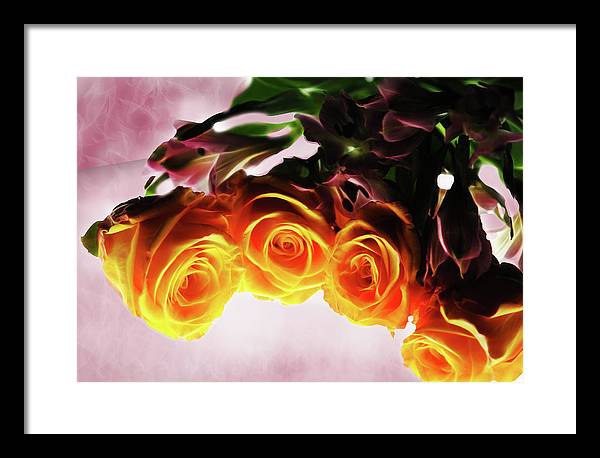 Mini Orange Roses on Pink - Framed Print