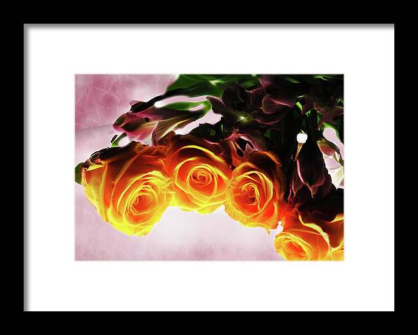 Mini Orange Roses on Pink - Framed Print