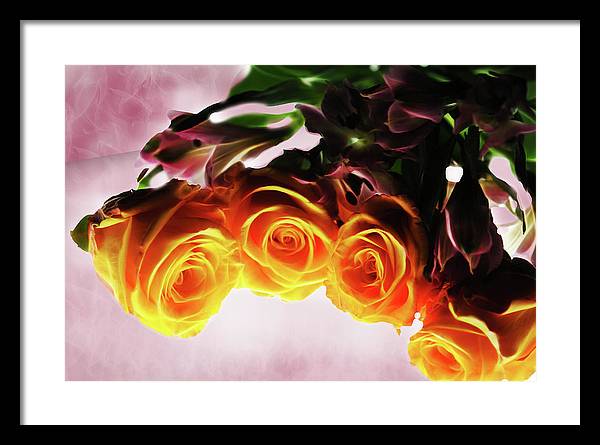 Mini Orange Roses on Pink - Framed Print